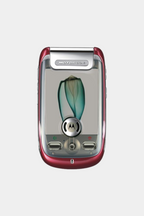 Motorola A1200 Red