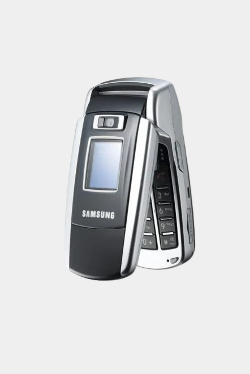 Samsung SGH-Z500