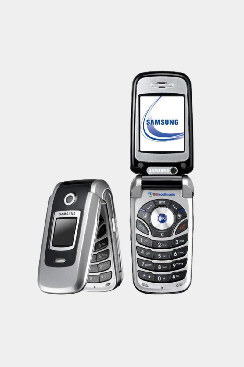 Samsung SGH-Z300