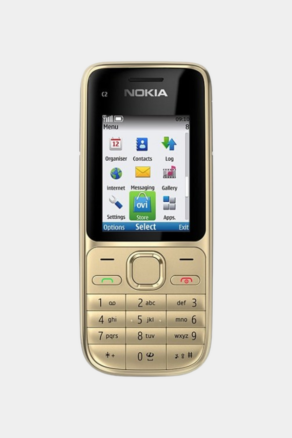 Nokia C2-01 Gold