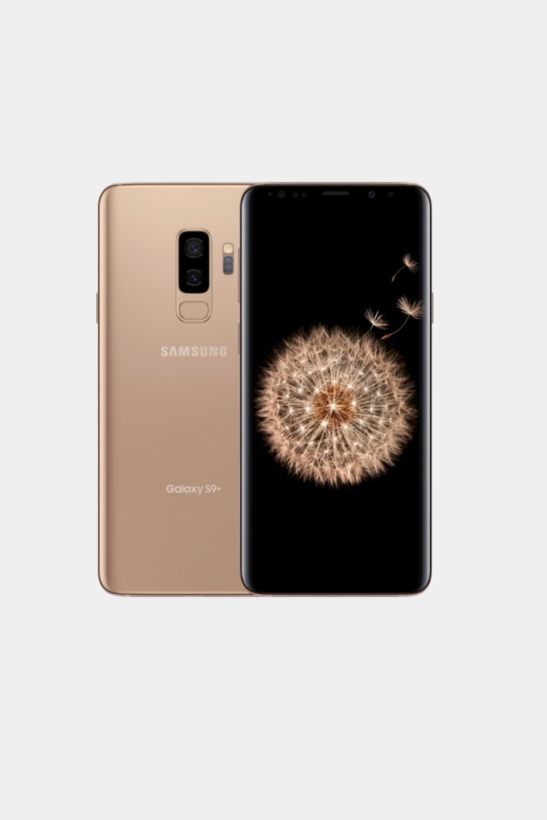 Samsung S9 Plus Dorado